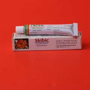 Skibic